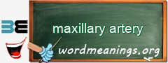 WordMeaning blackboard for maxillary artery